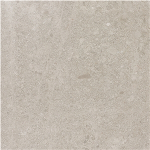 Shell Gris Marble Tiles & Slabs, Beige Limestone Flooring Tiles