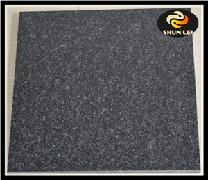 Binzhou Black Granite Tile for Wall Floor China Black Granite