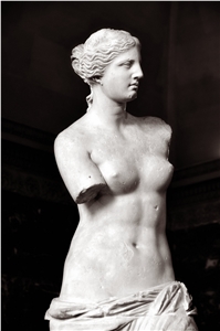 Marble Venus Bust Sculpture, White Marble Sculpture & Statue