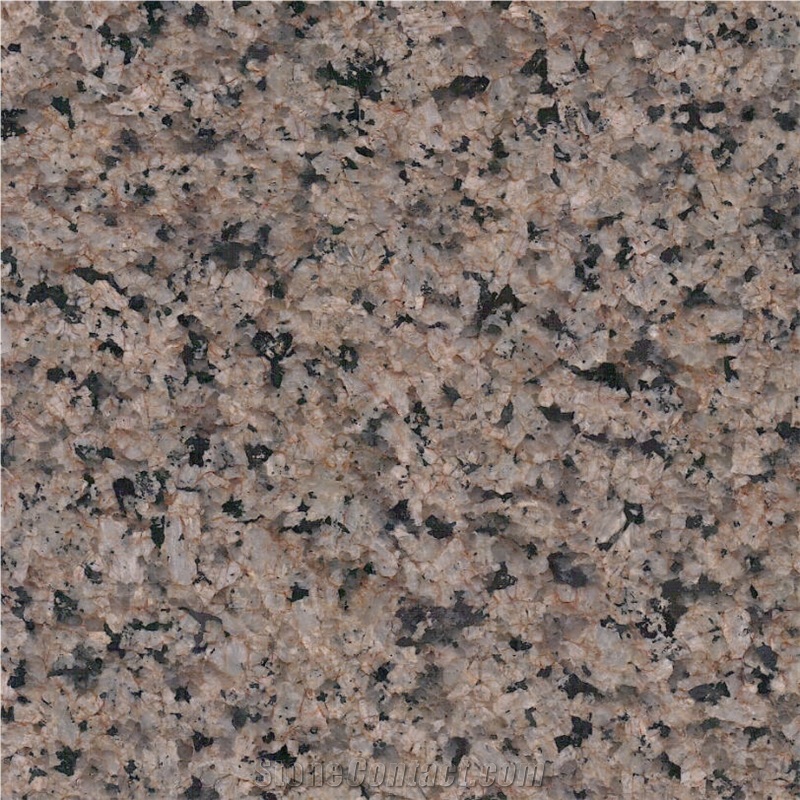 Tropical Brown Granite Tiles