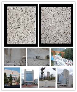 G5137 White Granite ,Chinese Cheap Granite ,White Granite . Can Be Used for Garden ,Outdoor ,Wall , Floor .