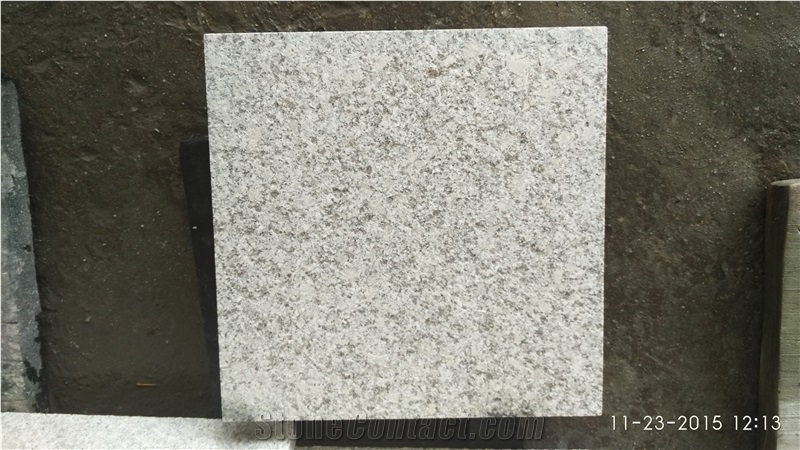 China Grey Sardo Granite Of G602,Mayflower Snow Granite Tiles&Slabs