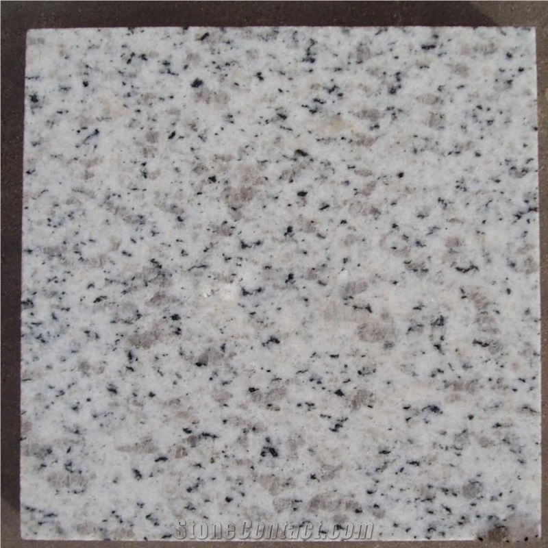 Shandong White Granite Tile for Versailles Pattern,G365 Granite Tiles & Slab, Snowflake Granite Tiles&Slabs for Sale,Snow Flake Granite Porfido Tiles
