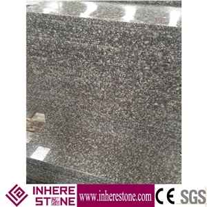 Cheap Polished G664 Granite/Luo Yuan Red Granite/ Brainbrook Brown Granite/Black Spots Brown Granite/China Pink Stairs & Steps, Stair Treads