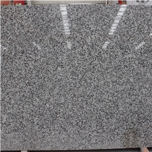 G439 Granite Countertop/Big White Flower Granite Countertop, Granite Kitchen Countertop, G439 Granite, Barry Blue Granite, Big White Flower Granite/China Grey Granite Kitchen Countertop