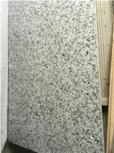 China White Granite, Polished Bala White Granite Tiles & Slabs, Natural Guangdong White Granite with Big Flower, for Wall Covering and Flooring, Experienced Manufacturer