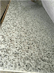 China White Granite, Polished Bala White Granite Tiles & Slabs, Natural Guangdong White Granite with Big Flower, for Wall Covering and Flooring, Experienced Manufacturer