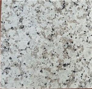 Guangdong White/Bala White Granite, Polished Bala White Granite Tiles & Slabs for Interior & Exterior Wall and Floor Covering, Countertops, Xiamen Winggreen Manufacturer