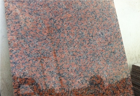 Popular G562 Granite,Red Balmoral Granite Slabs & Tiles,Granite Skirting,Feng Ye Red,China Capao Bonito,Red Of Cengxi,Samkie Red,Zarkie Red