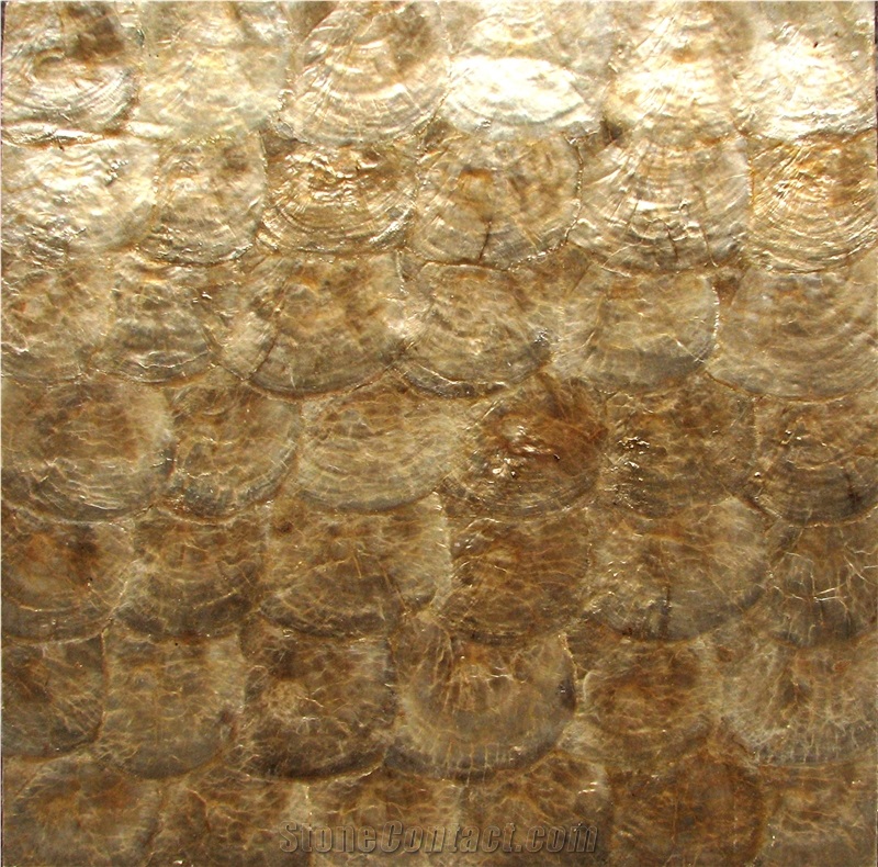 Natural Sea Shell Cladding,Capiz Shell Decorative Wall Mosaic Panel,Irregular Shaped Sea Shell Mosaic Pattern Wall Cladding for Interior Wall Cladding