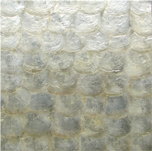 Natural Sea Shell Cladding,Silver Capiz Shell Decorative Wall Mosaic Panel,Irregular Pieces Shaped Sea Shell Mosaic Pattern Wall Cladding for Interior Decor