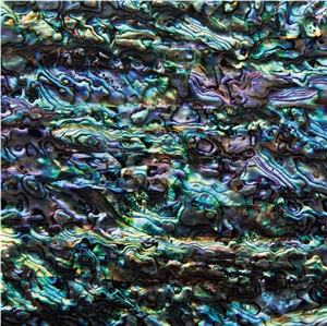 Natural Sea Shell Mosaic,Abalone Sea Shell Wall Mosaic Pattern,Elegant Sea Shell Wall Claddings