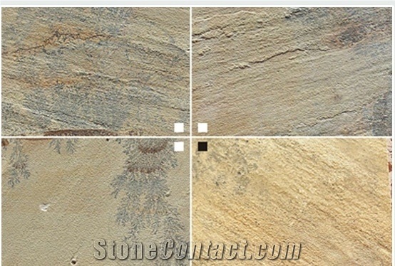 Fossil Mint Sandstone Tile, India Beige Sandstone