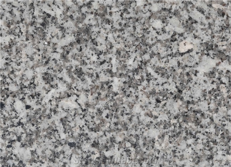 Silver Fish Granite Polished Slabs & Tiles, Grey Granite Floor Tiles, Wall Tiles