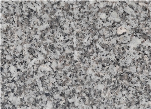 Silver Fish Granite Polished Slabs & Tiles, Grey Granite Floor Tiles, Wall Tiles