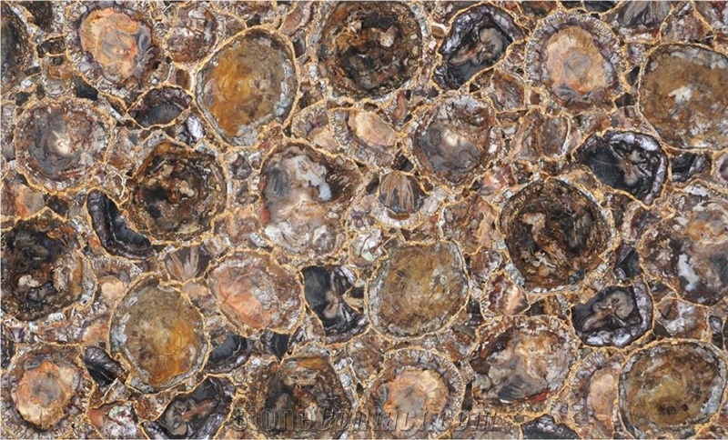 Petrified Wood Semiprecious Stone Slabs, Brown Semiprecious Stone Tiles & Slabs