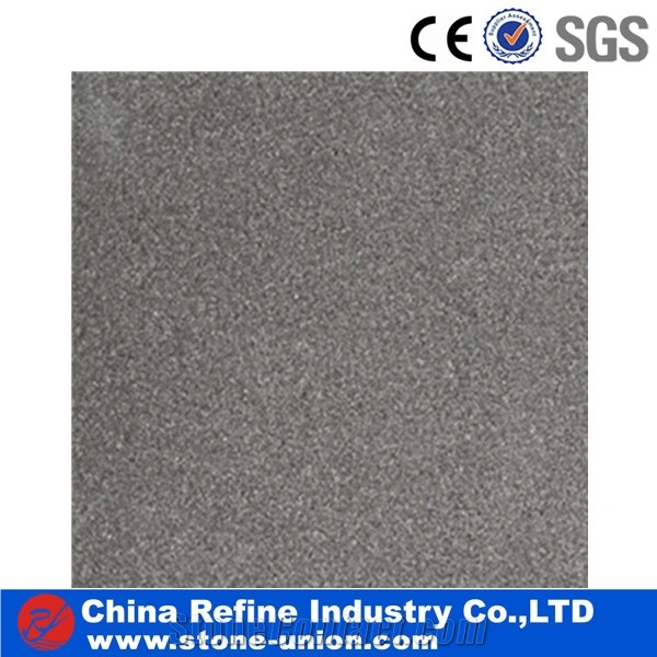 Chinese Black Sandstone Slabs & Tiles for Sale, China Black Sandstone for Wall and Floor Applications, Countertops