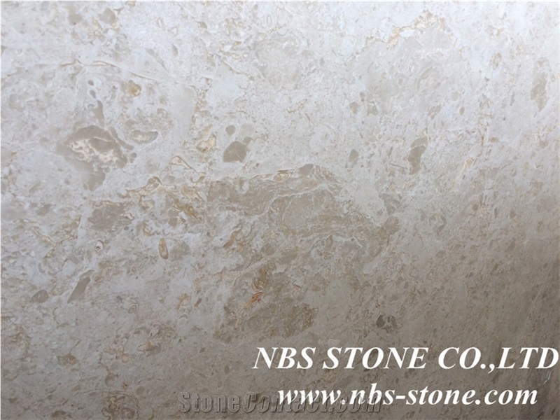 Sea Coral Limestone Tiles & Slabs, Oman Beige Limestone Tiles