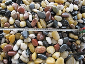 Natural Polished Pebbles Stone in Mixed Colors for Parving Swimming Pool Bathroom