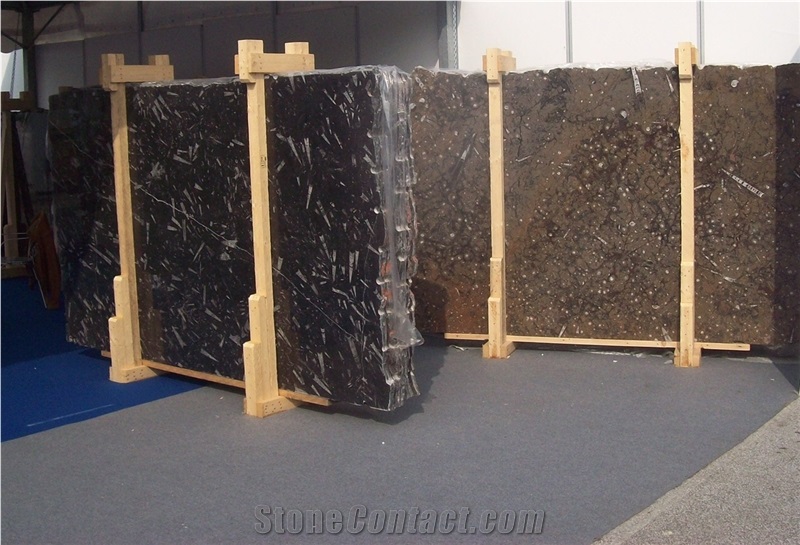 Brown / Black Fossil Marble Slabs, Morocco Brown / Black Fossil Marble Slabs