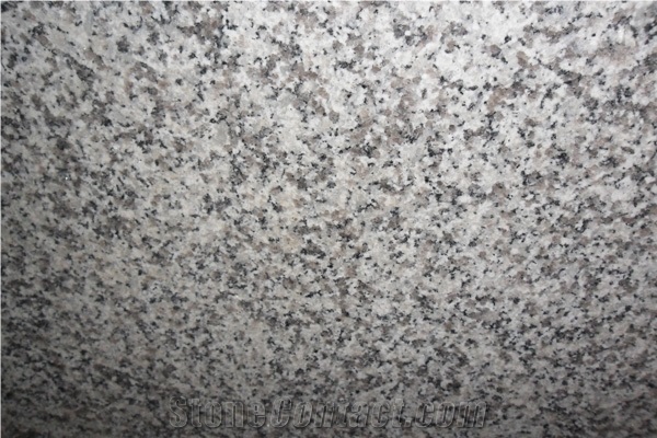 Bianco Sardo Granite Slabs