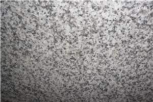 Bianco Sardo Granite Slabs