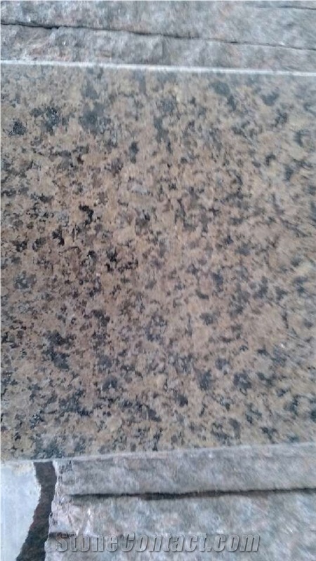 Marry Gold Granite Tile, India Brown Granite