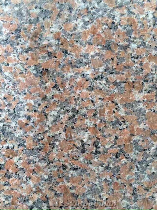China G562 Maple Red Cheap Granite Polished Tile/Slab,Cut to Size for Floor Paving or Wall Cladding