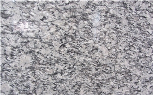 Professinal Manufacture G418 Tile/Slab,G418 Spary White Granite Slab/Tile,Cut to Size for Paving Pattern