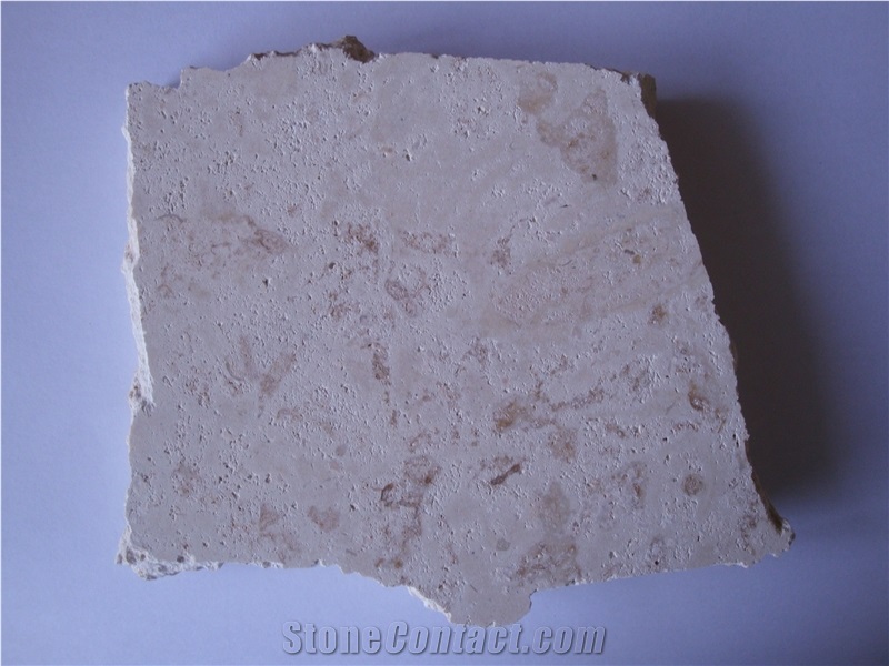 Honed White Coral Stone Tiles