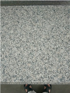 G603 China Grey Natural Granite Slabs Premium