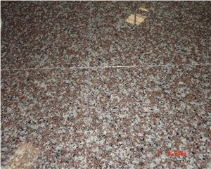 Polished G664 China Pink Elegant Granite Tiles