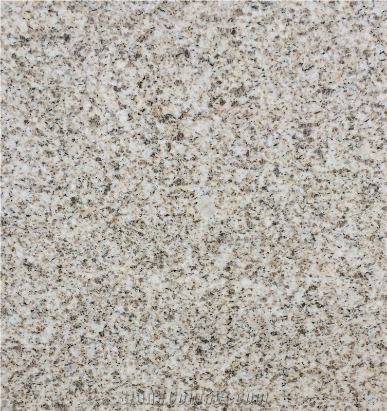 Yellow Granite Slab, Yellow Granite Wall Covering Tiles, Granite Floor Tiles