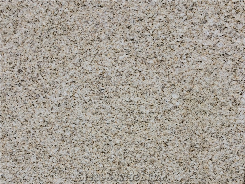 Yellow Granite Slab, Yellow Granite Wall Covering Tiles, Granite Floor Tiles