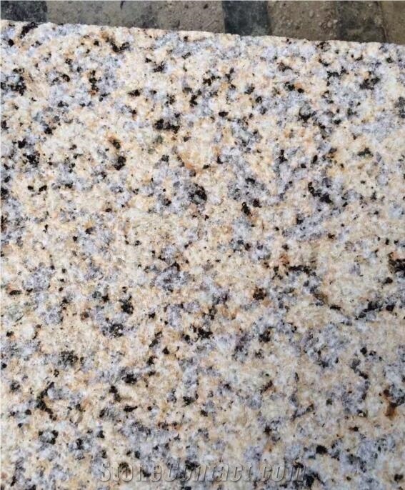 Caledonia Gold Granite Slabs & Tiles/Giallo Atlantico Granite