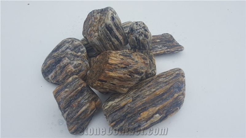 Gneis Tumbled Wood Stone, Wood Stone Pebbles
