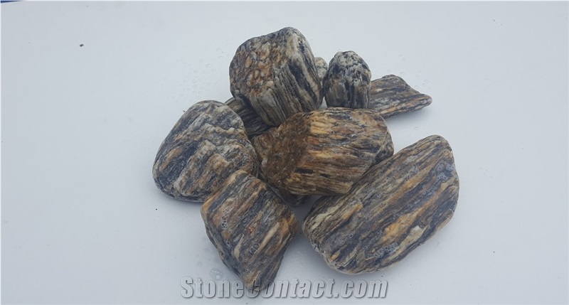 Gneis Tumbled Wood Stone, Wood Stone Pebbles
