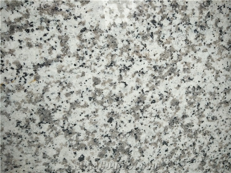 China G439 Granite, Polished Gangsaw Big Slab 2.0 cm