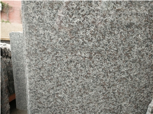 Portugal Brown Granite Slabs For Wall & Floor Covering