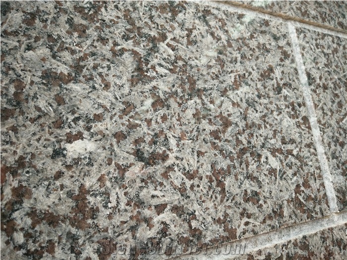 Portugal Sienito De Monchique Granite, San Louis , Polished Slab & Tile for Wall Decoration