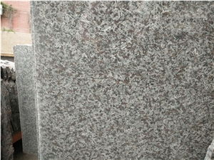 San Louis Tiles,Portugal Brown Granite for Wall & Floor Covering