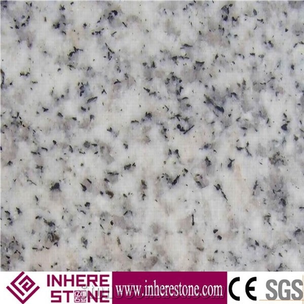 Shandong White Granite Tiles & Slabs, G365 Granite, Sesame White Granite Flooring Covering