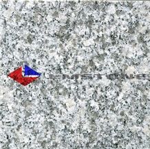 G602,China Grey Sardo,Mayflower Snow,Nanan Mayflower Snow,Nanan Snow Plum,Nanan Yue Li Mei,Padang Champagne,Plum Blossom White,Chinese Sardinia Grey,Granite Tiles & Slabs