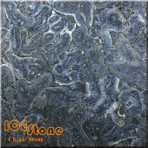 Blue Coral Fossils/Semi Precious Stone Panel/Semiprecious Slabs/Tiles/Wall/Backlit/Backflash