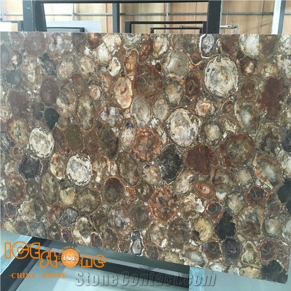 Brown Peterified Wood Stone/Wooden Stone Semiprecious Slab/Gemstone Tiles/Semi Precious Slabs/Precious Stone Slabs/Semiprecious Stone Tiles/Semi Precious Stone Panels/