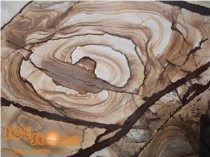 Good Price Brazil Quartzite Stone Wood Quartzite/Carpe Diem Quartzite Stone Tiles&Floors