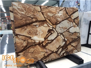 Good Price Brazil Quartzite Stone Wood Quartzite/Carpe Diem Quartzite Stone Tiles&Floors