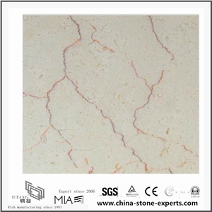 Shell Beige Marble Slabs & Tiles, Chile Beige Marble