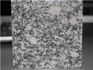 Cheapest China G602/Grey Sardo/Mayflower Snow/Snow Plum/Padang Champagne/Plum Blossom White/Sardinia Grey/Cristallo Grigio/New Bianco Sardo Granite Tiles & Slabs & Cut-To-Size for Flooring and Walling