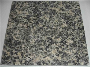 Cheapest Price High Quality Chinese Natural Polished Leopard Skin Flower/Leopard Brown/Panthers Flowers Granite Tiles & Slabs & Cut-To-Size,Own Factory Direct Sale for Project/Hotel/House